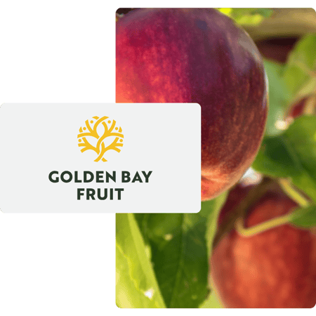 Endeavour Slice - Golden Bay